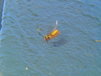 flight_3558