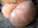 IMG_13 74a
