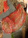 IMG_15 80a