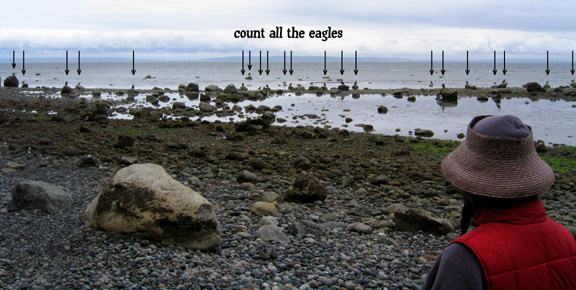 eagles