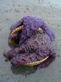 purplenshell